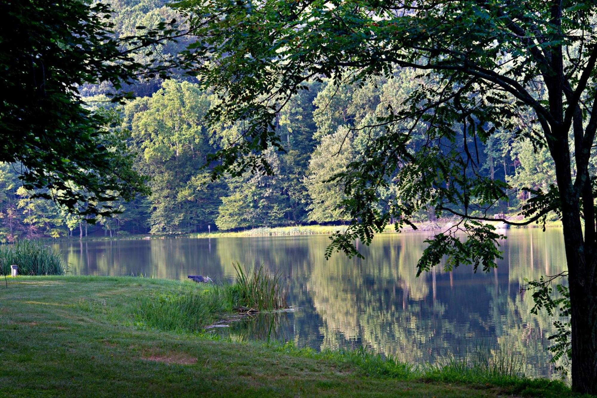 Peaks Of Otter Lodge Bedford Bagian luar foto